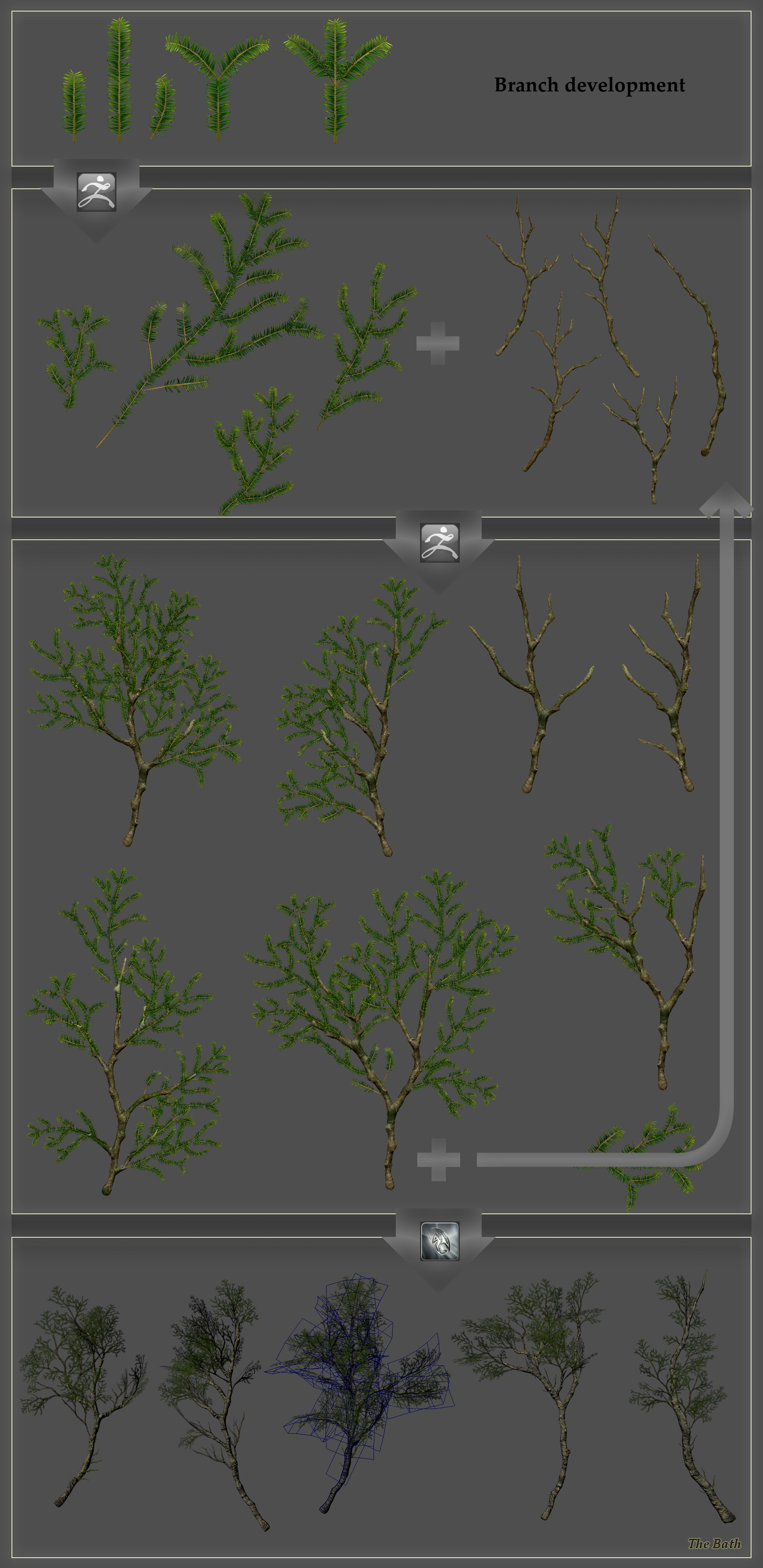 Tree Branches - Process