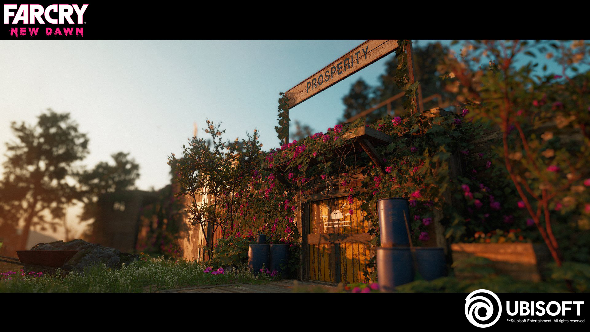 Player Homebase
